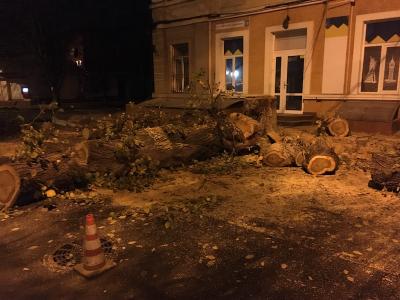 Прикрепленное изображение: IMG_1312.JPG